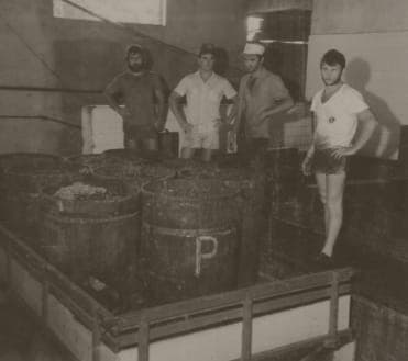 Fotografia histórica da vinícola no Rio Grande do Sul